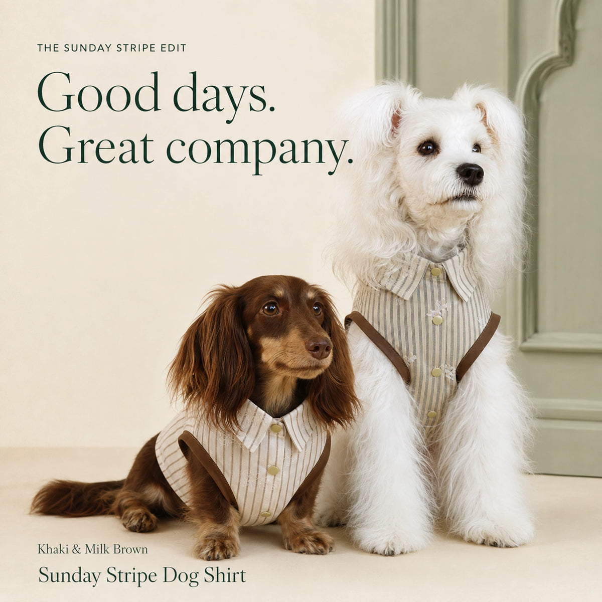 Dogs wearing the Sunday Stripe Dog Shirt in Khaki and Milk Brown.