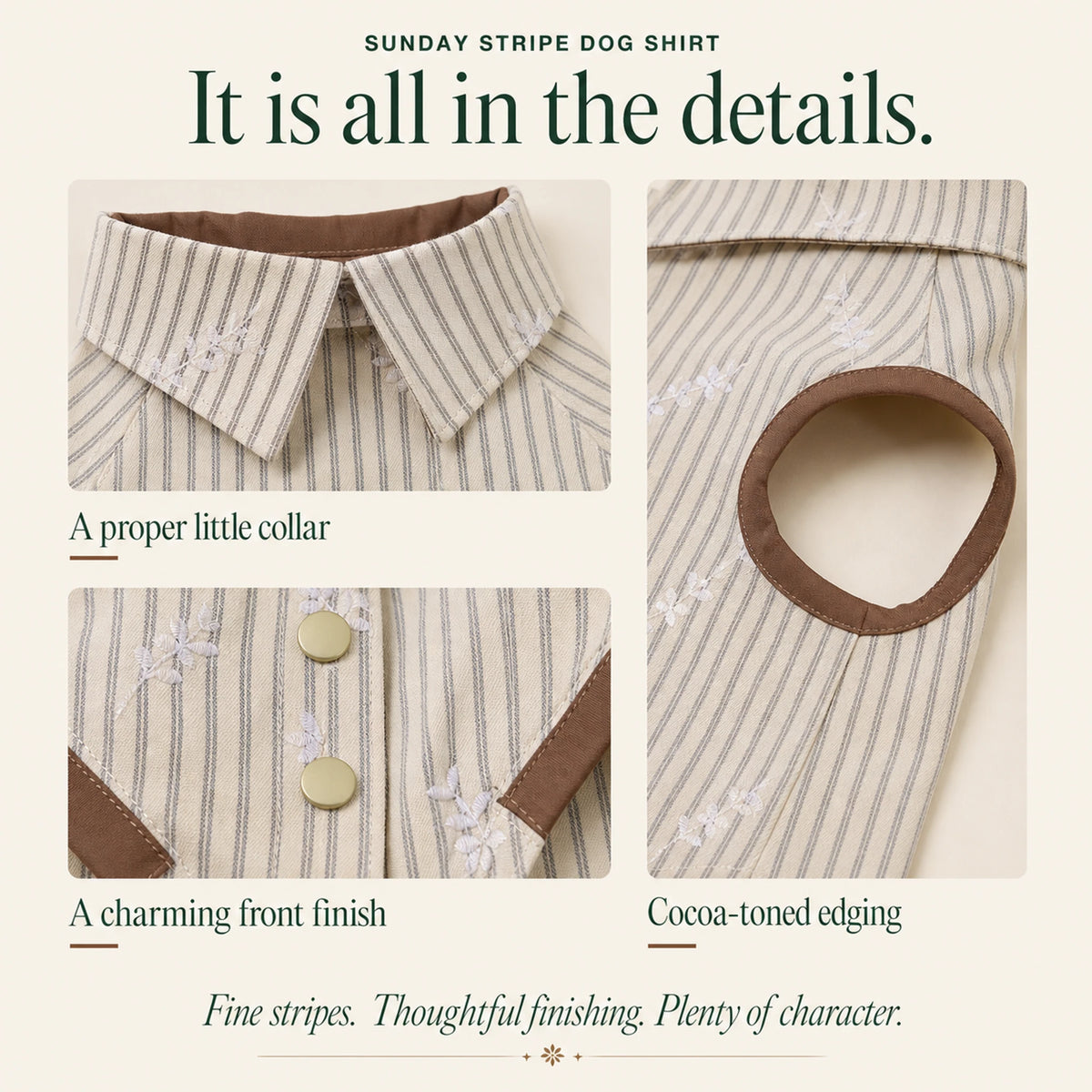 Sunday Stripe Dog Shirt details showing the pointed collar, striped fabric and cocoa-toned edging.