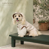 A dog wearing the Milk Brown Sunday Stripe Dog Shirt with the matching hat.