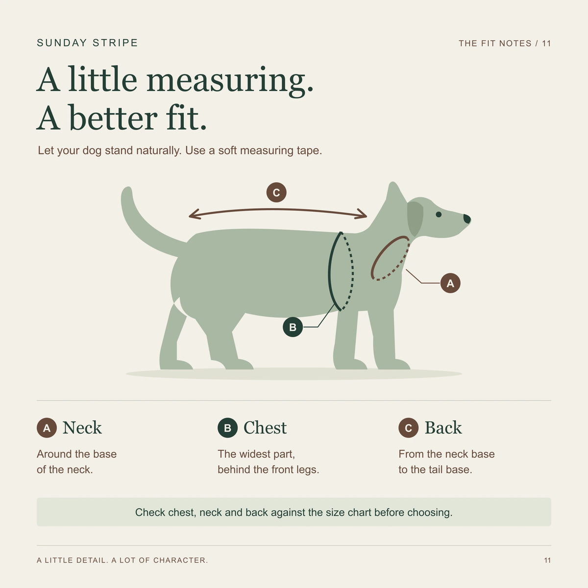How to measure a dog's neck, widest chest and back from the base of the neck to the base of the tail.
