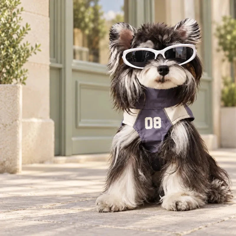 Dog wearing the gray Club 08 pet vest and white styling sunglasses on an outdoor pedestrian street with pale stone paving and sage storefront windows; sunglasses not included.
