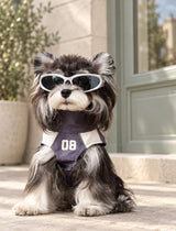 Front view of a dog wearing the gray Club 08 pet vest with its cream 08 chest graphic on a pale stone pedestrian street; white styling sunglasses not included.