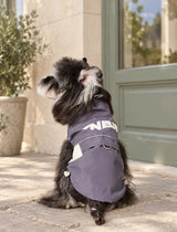Side and back view of a dog wearing the gray Club 08 pet vest on an outdoor pedestrian street with pale stone paving and sage storefront windows.