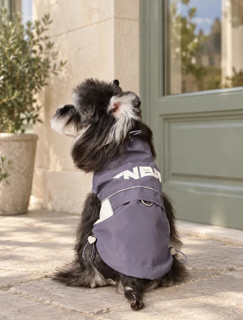 Side and back view of a dog wearing the gray Club 08 pet vest on an outdoor pedestrian street with pale stone paving and sage storefront windows.