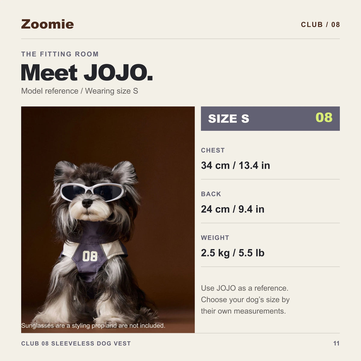 JOJO wears size S: chest 34 centimeters, back 24 centimeters and weight 2.5 kilograms.