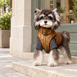 Dog wearing the brown Heritage Rover pet vest over a gray styling top on an outdoor pedestrian street with pale stone paving and sage storefront windows; styling top not included.