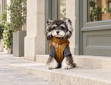 Front view of a dog wearing the brown Heritage Rover pet vest on an outdoor pale stone step beside a sage storefront; gray styling top not included.