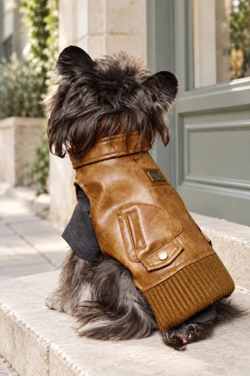 Back view of a dog wearing the brown Heritage Rover pet vest on a pale stone pedestrian street beside a sage storefront; gray styling top not included.