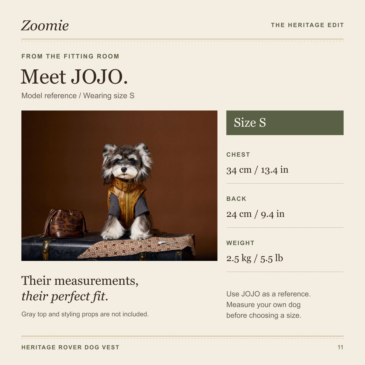 JOJO wears size S: chest 34 centimeters, back 24 centimeters and weight 2.5 kilograms.