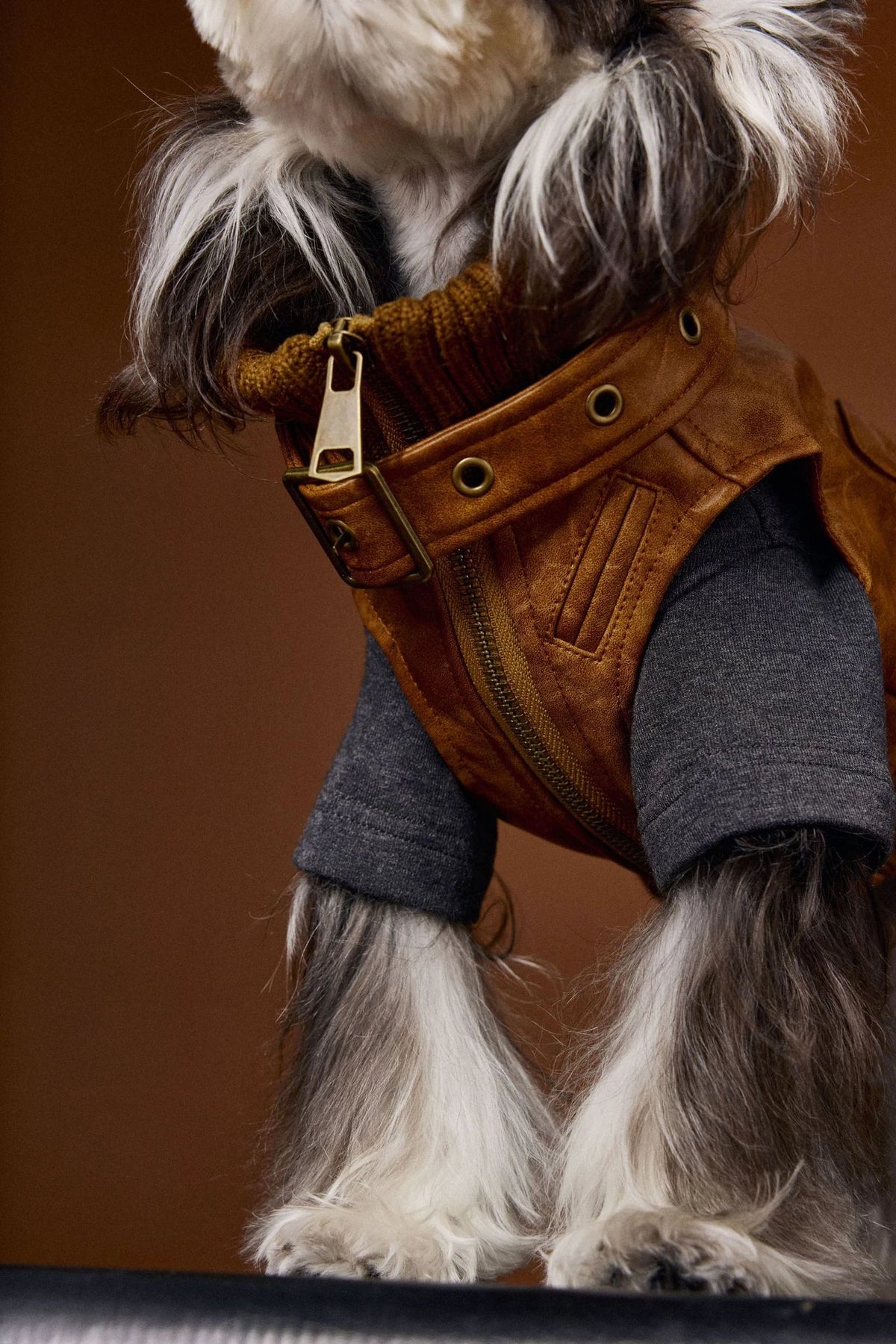 Original close-up of the brown vest collar strap, eyelets, buckle and zipper, styled over a charcoal top that is not included.