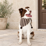 Brown and beige striped triangular pet bandana with pom-pom details worn by a border collie.