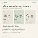 Illustrated guide to measuring a pet’s neck, chest and back.