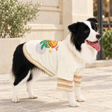 Black-and-white Border Collie wearing a cream pet top with oat-striped layered sleeves on a warm stone street. AI-edited lifestyle setting.