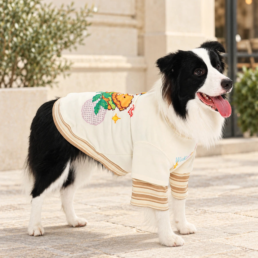 Black-and-white Border Collie wearing a cream pet top with oat-striped layered sleeves on a warm stone street. AI-edited lifestyle setting.