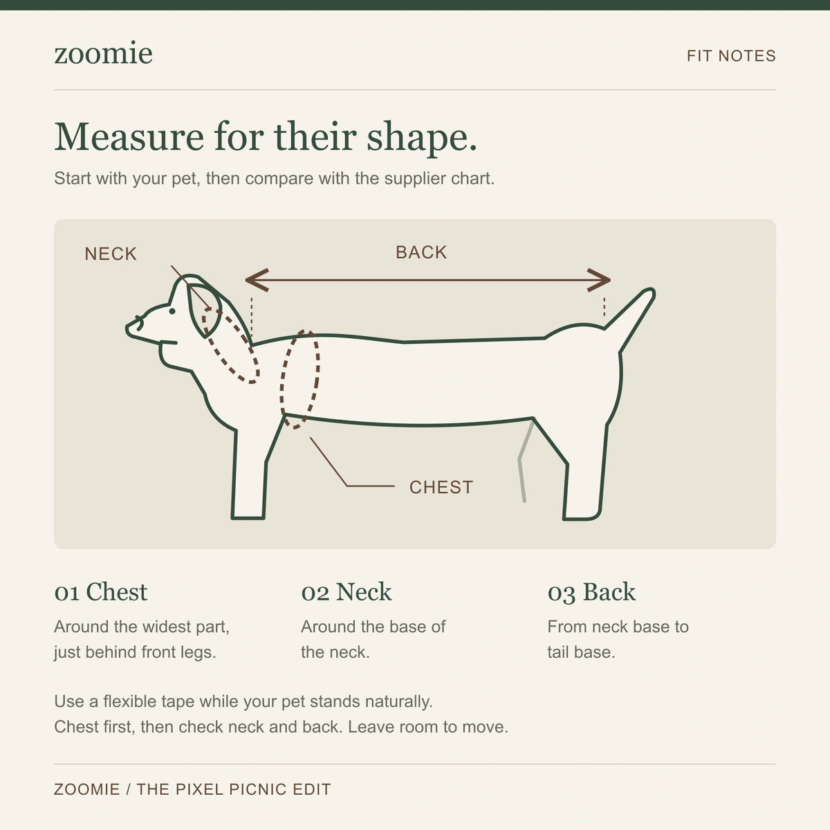 Original pet measurement diagram showing a chest loop behind the front legs, a neck loop at the neck base and a back arrow from neck base to tail base.